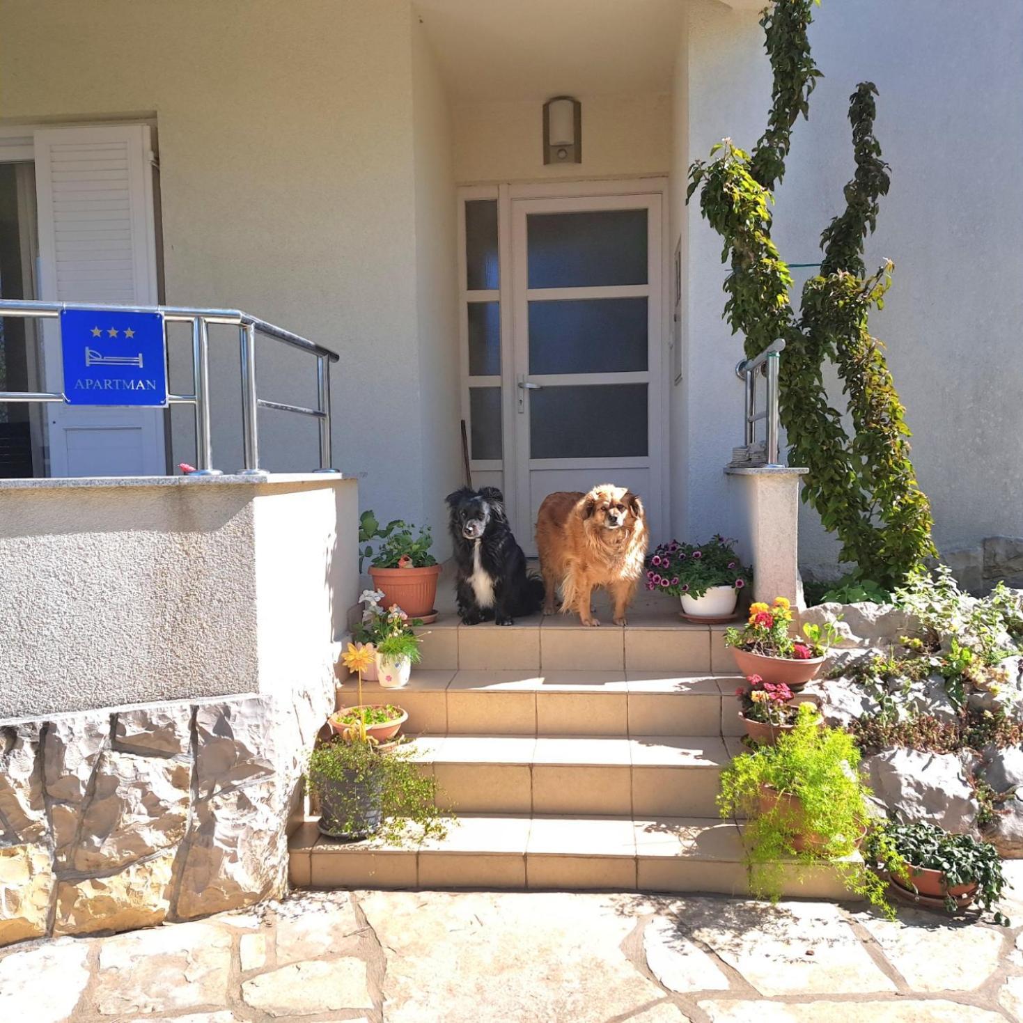 Apartman Petra Zadar Exterior foto